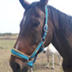 Meet your Posher, Gemma